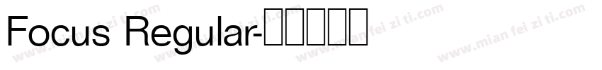 Focus Regular字体转换